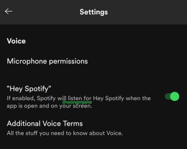 hey spotify