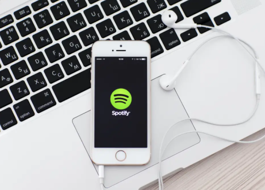 Come cercare e all'interno delle playlist su Spotify