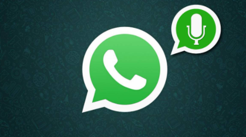 Come leggere una nota vocale di WhatsApp se non riesci a sentirla