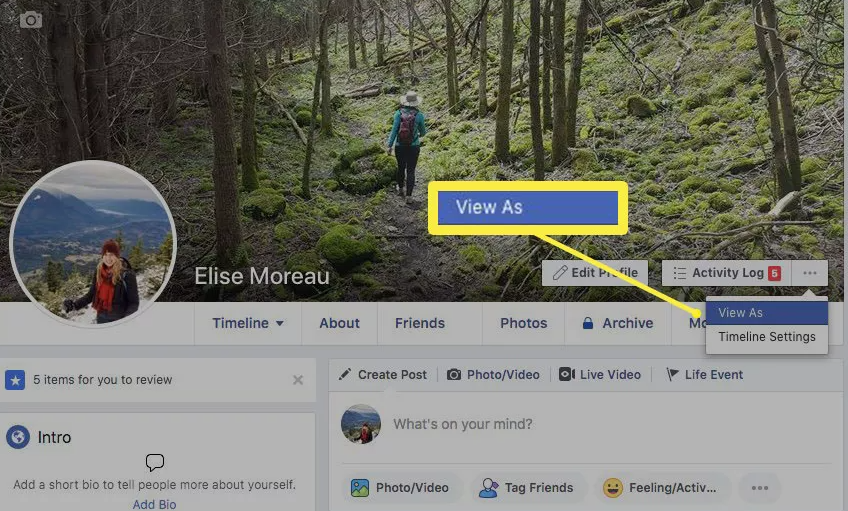 Come visualizzare il tuo profilo Facebook come pubblico