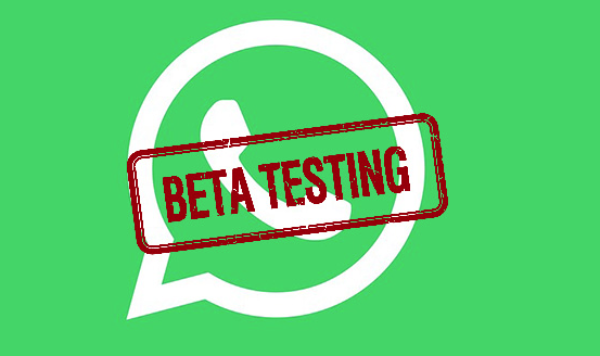 beta tester di WhatsApp
