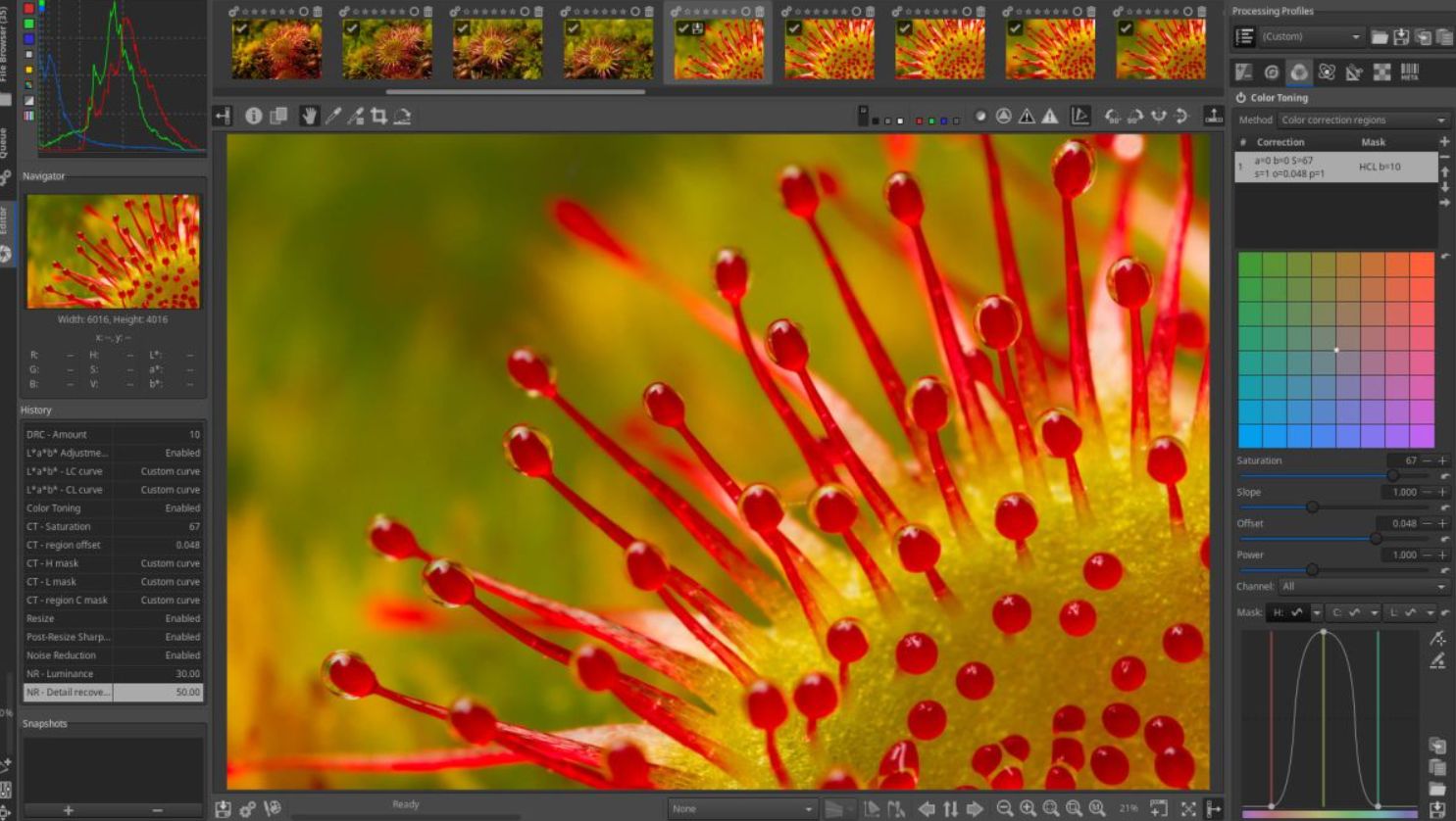 20 migliori alternative gratuite per sostituire Photoshop e gli altri software Adobe