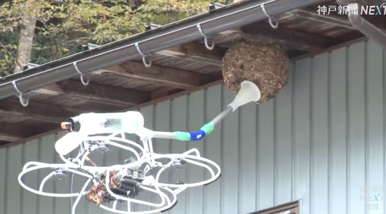 Disinfestatore usa il drone per aspirare un nido di vespe (VIDEO)