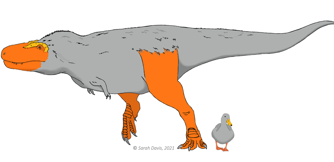 I dinosauri forse avevano piedi e facce dai colori vivaci: ecco perchè
