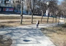 Cade un missile a Kiev, anziano viene sfiorato (VIDEO)