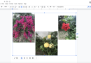 Come raggruppare le immagini in Google Docs