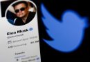 Twitter "accetterà" l'offerta di Elon Musk di acquistare la società
