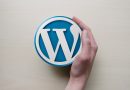 Cos'è l'hosting WordPress?