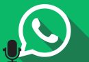 Come trovare la cartella audio di WhatsApp sul telefono