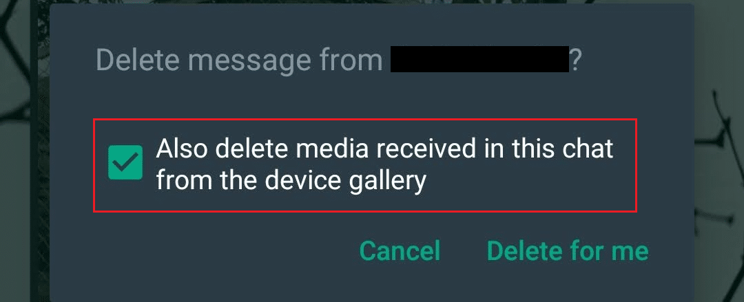 WhatsApp: elimina anche i contenuti multimediali ricevuti in questa chat dalla casella di controllo della galleria del dispositivo
