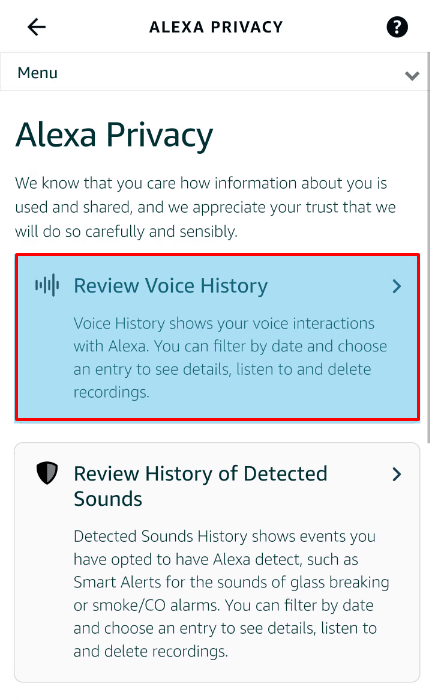 tocca l'opzione Rivedi cronologia vocale per eliminare la cronologia di Alexa