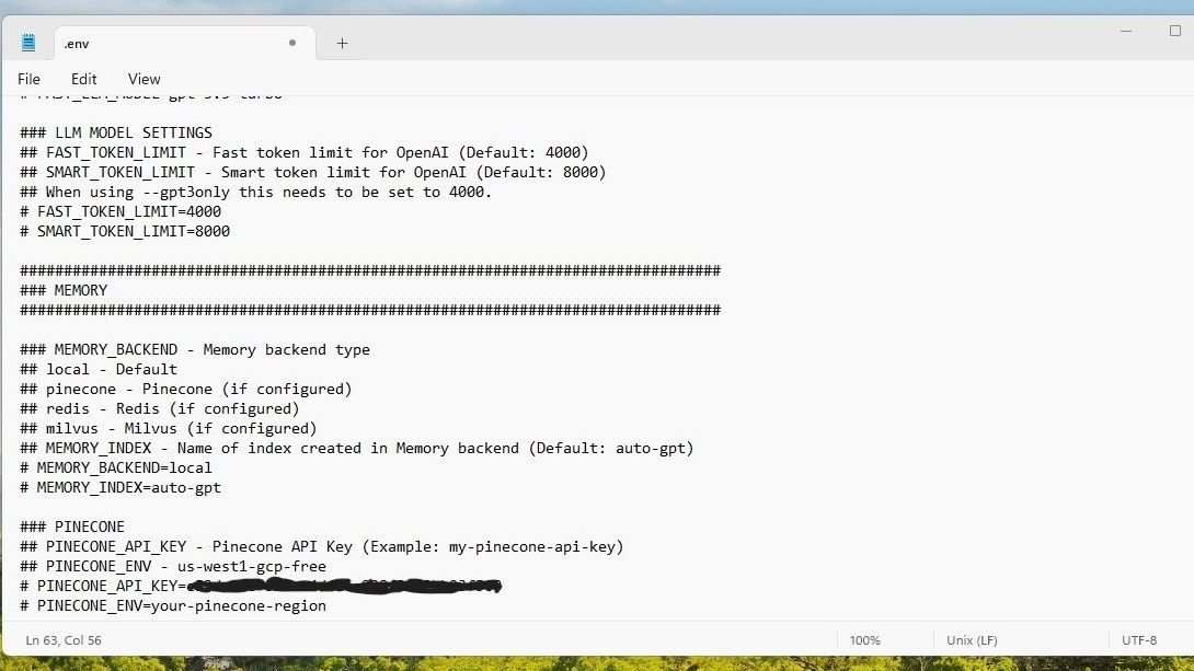 Uno screenshot che mostra la chiave API Pinecone sfocata sul Blocco note