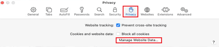 Gestisci la privacy del browser safari dei dati del sito web