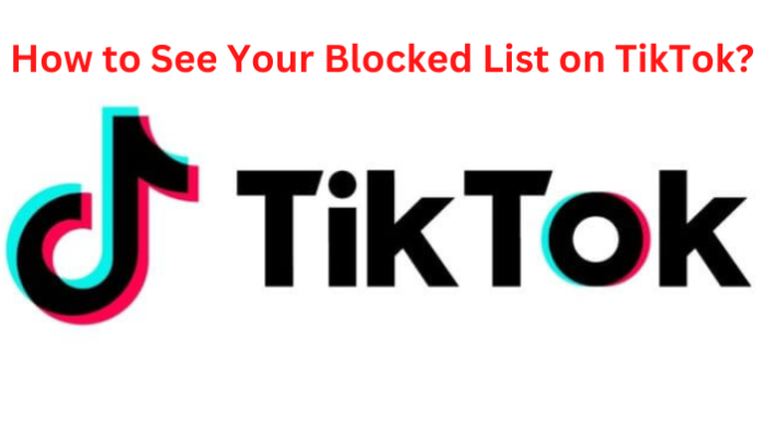 how to see your blocked list on tiktok