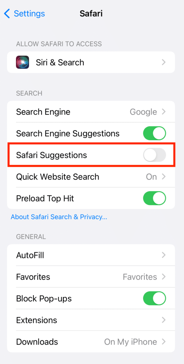 Disattiva i suggerimenti di Safari | come rimuovere i migliori risultati da Safari iPhone