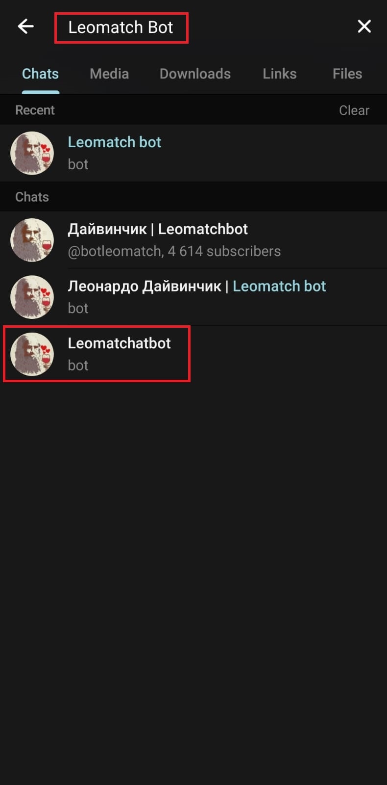 Apri Telegram e cerca Leomatch Bot.