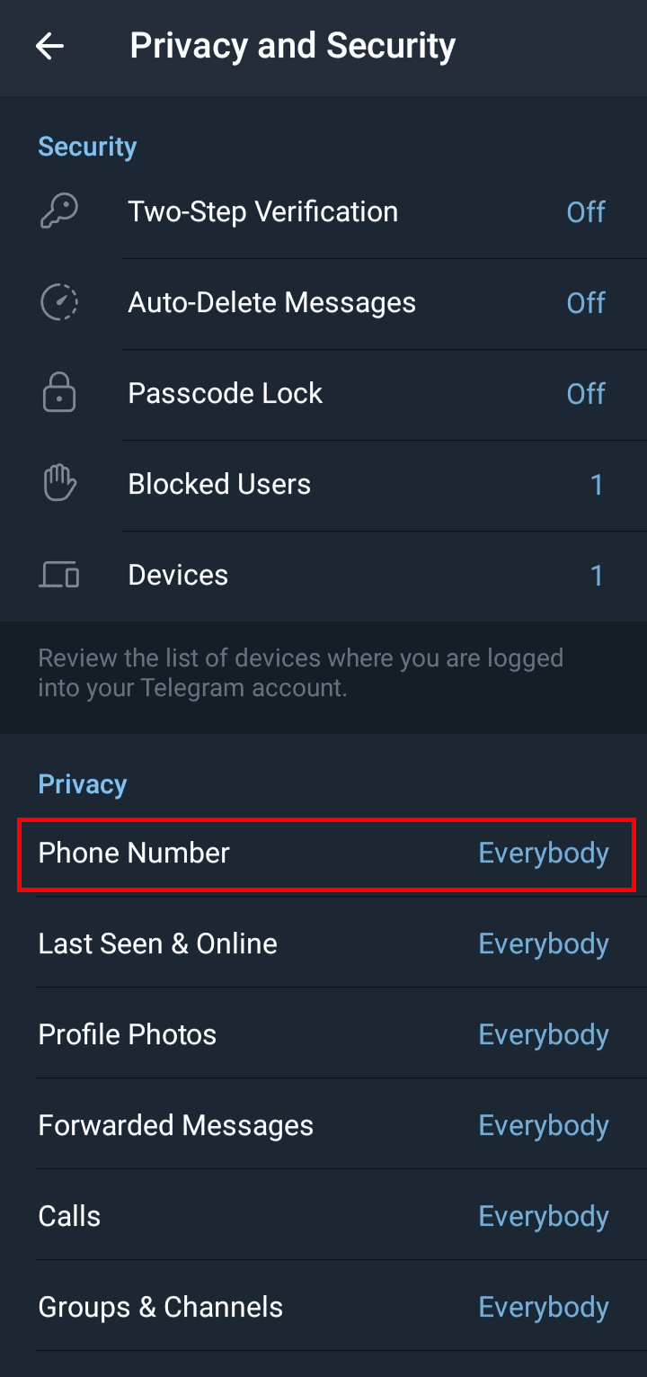 Tocca l'opzione Numero di telefono nel menu Privacy. | Puoi vedere i numeri di telefono su Telegram