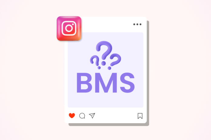 What Does BMS Mean on Instagram?