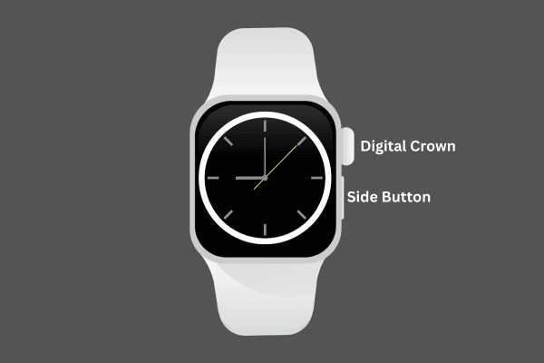 Corona digitale e pulsante laterale dell'Apple Watch.