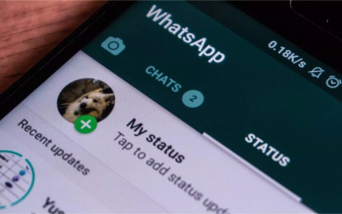 WhatsApp, l’aggiornamento per le anteprime degli stati è in distribuzione